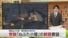 「もう小屋という時代ではない」青森ねぶたの制作拠点　常設で新設を要望　老朽化で倒壊の恐れ　安全面・衛生面でも課題　|　青森のニュース│ATV NEWS│青森テレビ