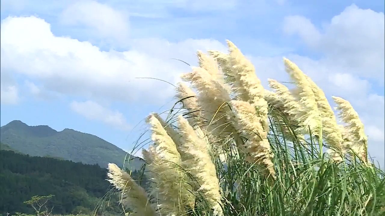 img_2f200850cb2a912e4b86b1910c