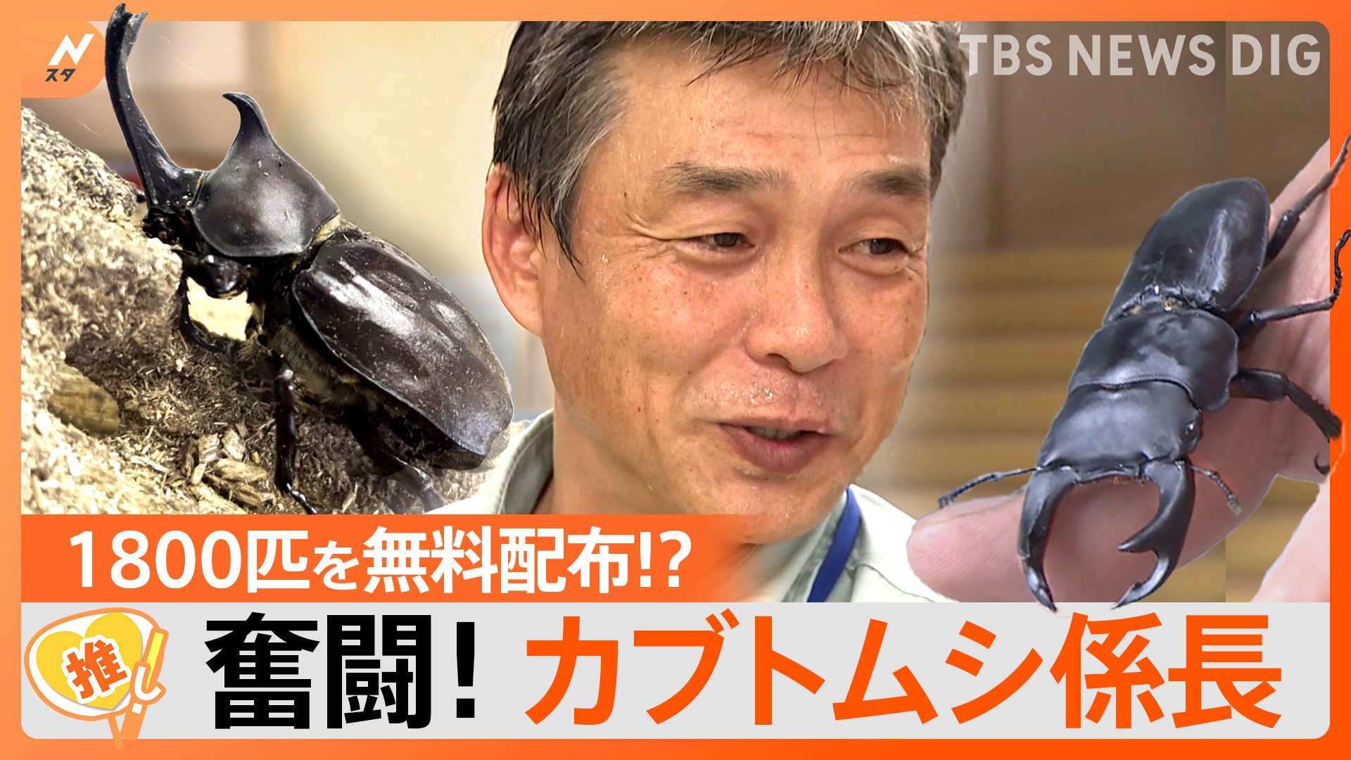 10万円自腹”で1800匹のカブトムシなどを無料配布！？謎の人物