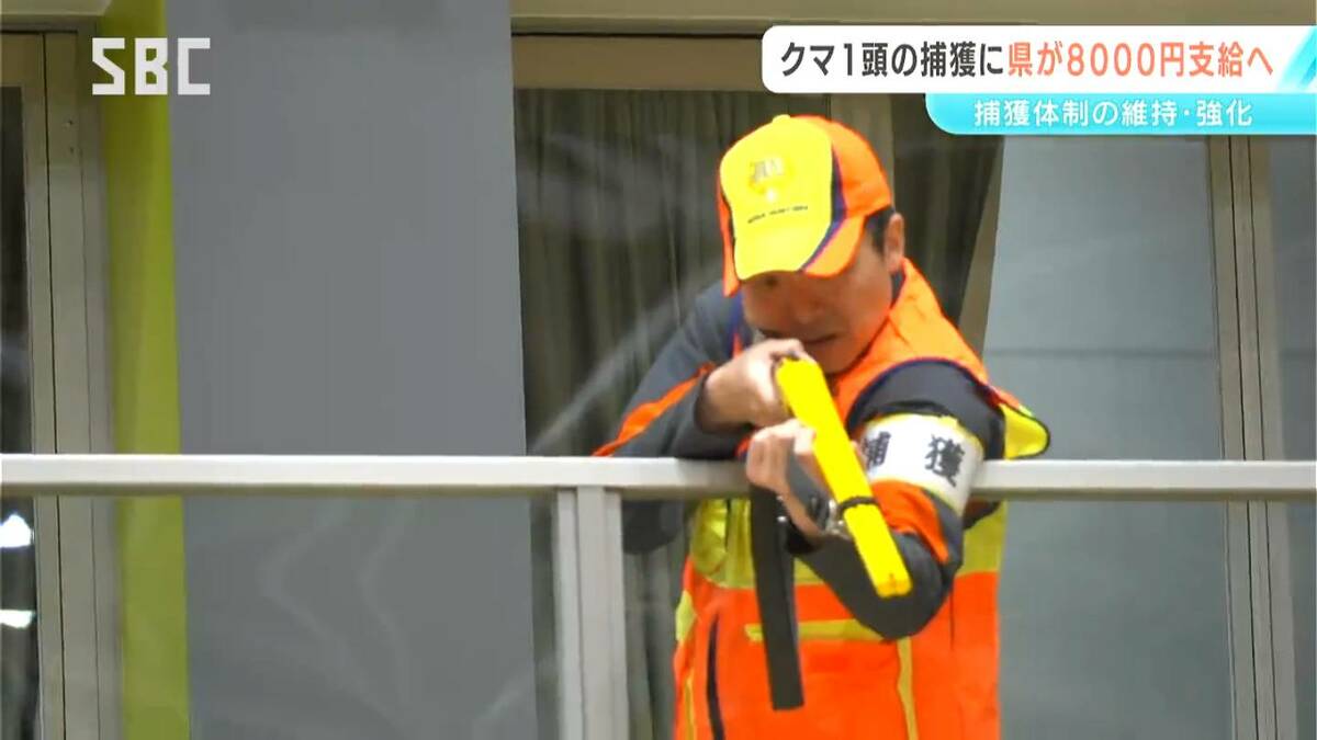 長野県がクマの捕獲に1頭あたり8000円の報奨金を支給へ 関連費用を新