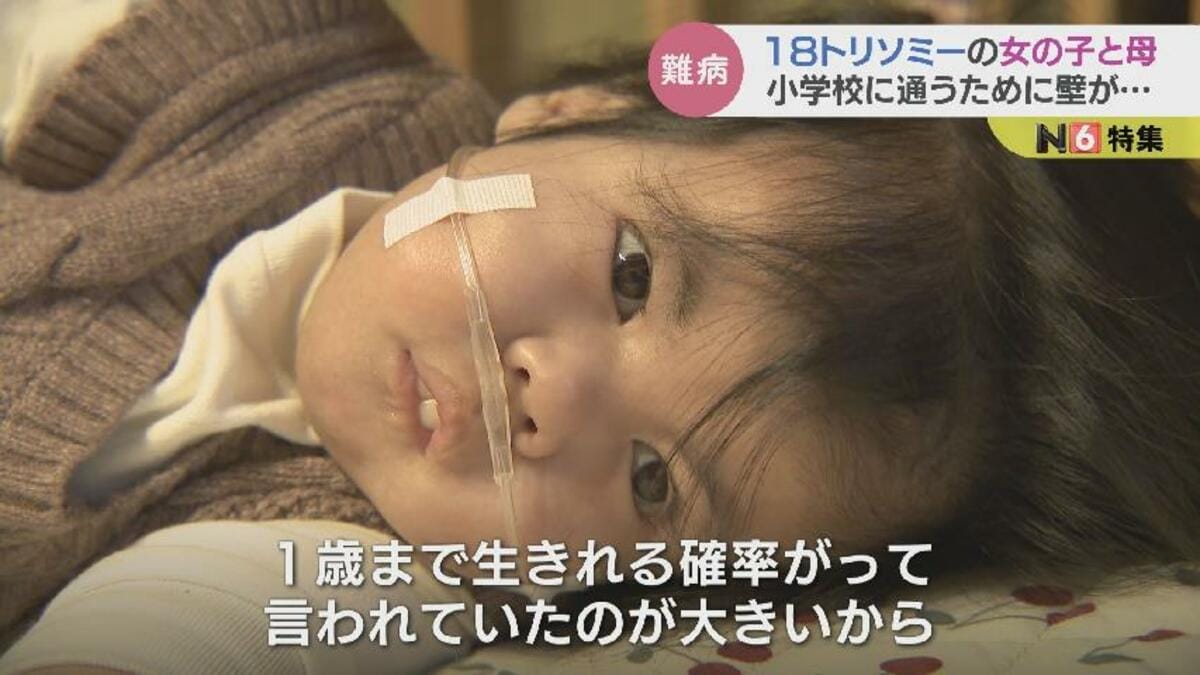 トリソミー と は