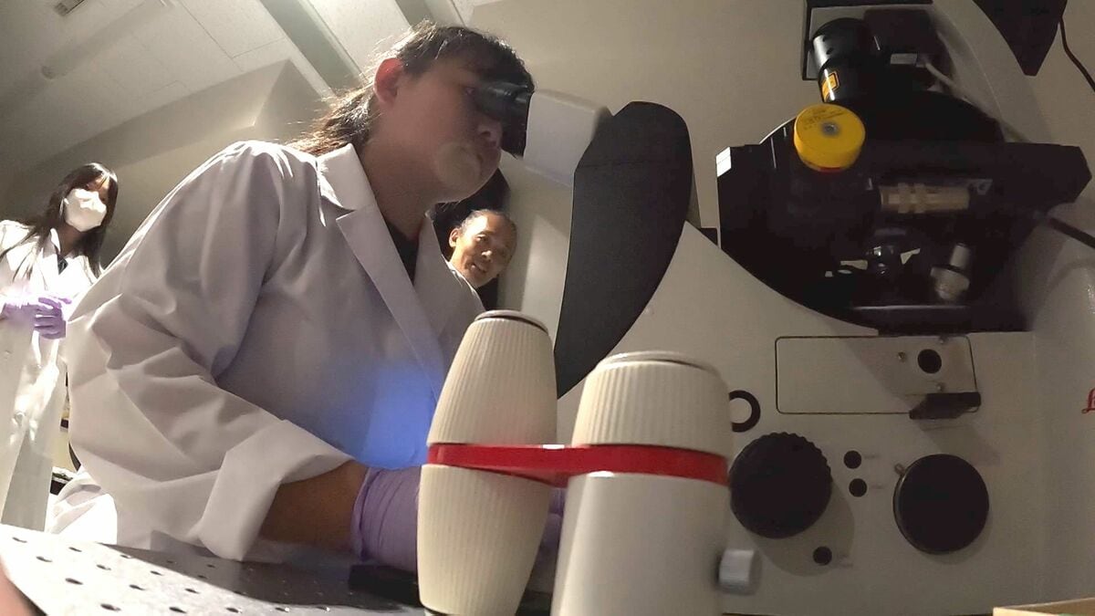 高校生が最先端の抗がん剤研究を体験「ここからノーベル賞を」　大学で次世代の医学に触れる