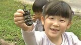 夏になった！昆虫の王様カブトムシがいっぱい　子どもたちの歓声あがる　|　大分のニュース｜OBS NEWS｜大分放送