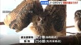 残された動物256頭の行方は…ノースサファリサッポロ、違法建築物の撤去期限迎えるも完了せず 札幌市が立ち入り調査へ | 北海道のニュース|HBC北海道放送