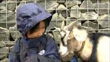 「ザラザラしてくしみたい」動物たちと触れ合う 八木山動物公園“58周年”イベント 仙台|TBS NEWS DIG