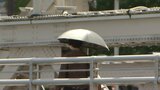 快晴のゴールデンウィークスタート 盛岡27度など各地で夏日予想 岩手・盛岡|TBS NEWS DIG