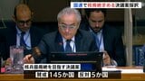 145か国が賛成 日本提出の核廃絶決議案が国連で採択も今年はアメリカが棄権 トランプ政権で姿勢の変化か|TBS NEWS DIG