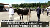 乳用牛の審査会でグランドチャンピオンを決定 青森県七戸町|TBS NEWS DIG