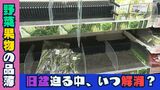 旧盆控える沖縄 台風6号以来、品薄続く野菜や果物に漏れ聞こえる不安の声 品薄解消の見通しを聞いた|TBS NEWS DIG