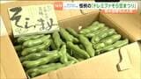 『500円で詰め放題』のコーナーも大人気！「ドレミファそら豆まつり」が宮城・道の駅村田で7日まで開催中|TBS NEWS DIG