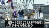 中型イカ釣り船に燃料費高騰の影響「省エネで沖までゆっくり」 八戸港から北太平洋へ 青森県 | 青森のニュース│ATV NEWS│青森テレビ