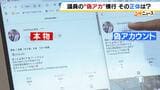 政治家のSNSかたる"偽アカ"急増 プロフィールから誘導されたのは『カタール通貨で植物が販売されるサイト』 専門家「クレカ情報を抜き取るためではないか」|TBS NEWS DIG