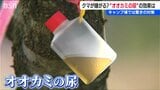 クマ対策にオオカミの尿？ キャンプ場にクマ寄せにくく…　河川敷では見通し良くするため草木の除去も　新潟県　|　新潟のニュース・天気｜BSN NEWS｜BSN新潟放送