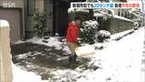 新潟市など平地でも平年の数倍の積雪 大雪ピークはきょうまで|TBS NEWS DIG