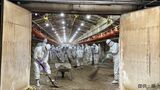 今季3例目鳥インフル 12万羽殺処分の養鶏場「防疫措置」完了 鹿児島・霧島市 | 鹿児島のニュース|MBC NEWS|南日本放送