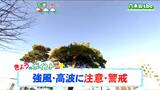 【5日宮城の天気】おおむね晴れるも陸上では夕方まで、海上では夜遅くまで強風に注意　tbc気象台|TBS NEWS DIG