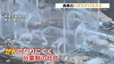 がんにかかりにくい“ハダカデバネズミ”のワークショップ | 熊本のニュース|RKK NEWS|RKK熊本放送