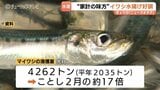 富山湾のマイワシ 記録的豊漁！2月の17倍、平年比2倍超の水揚げ　家計の味方になるか…ホタルイカやブリ幼魚のフクラギ絶好調、春のラッシュ|TBS NEWS DIG