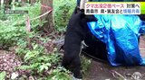 『クマの出没』相次ぐ　出没件数が前年度の「2倍ぺース」の青森市では対策会議　被害防止に向けて県・市・猟友会が情報共有|TBS NEWS DIG