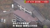 山形・米沢市の温泉旅館にクマ居座る 「フロントが壊される音がした」経営者家族は駆け付けたパトカーに逃げ、けがなし|TBS NEWS DIG