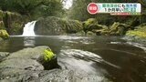 『菊池渓谷 1か月早い山開き』 去年の入山者数は約11万7500人でおととしの約3倍 台湾からの観光客も 熊本 | 熊本のニュース|RKK NEWS|RKK熊本放送