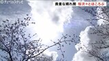 日中は貴重な晴れ間 気温上がらず肌寒い一日に 乾燥にも注意 富山 | 富山のニュース|天気・防災|チューリップテレビ