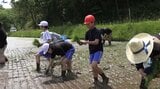 「つなぐ棚田遺産」に認定されている田んぼで児童たちが田植え 岩手・遠野市|TBS NEWS DIG