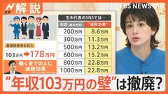 “年収103万円の壁”は撤廃？ 8兆円の減収に…財源どうする？ 自民・国民 政策協議開始へ【Nスタ解説】| TBS CROSS DIG with Bloomberg