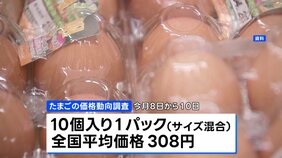 たまご平均価格1パック308円 調査開始以降の最高値を更新|TBS NEWS DIG