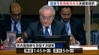 145か国が賛成 日本提出の核廃絶決議案が国連で採択も今年はアメリカが棄権 トランプ政権で姿勢の変化か| TBS CROSS DIG with Bloomberg