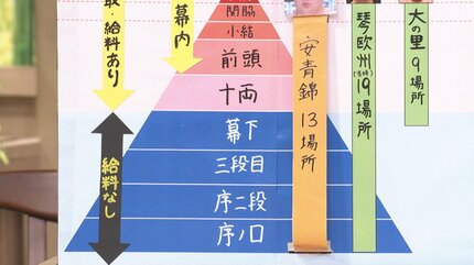 安青錦手形と番付表 安青錦手形と番付表 2026年最新】Yahoo