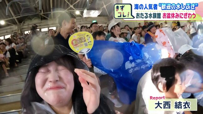 海の人気者が“歓迎の水しぶき”びしょ濡れになりながら、みんな笑顔「トドにめっちゃ水をかけられた」お盆休みでにぎわうおたる水族館|TBS NEWS DIG