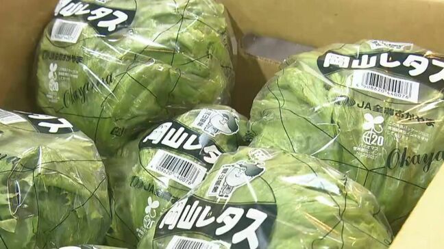 岡山市中央卸売市場で青果の初競り 昨年価格が高騰した野菜は今年に入ってもしばらくは高値で推移する見通し【岡山】|TBS NEWS DIG