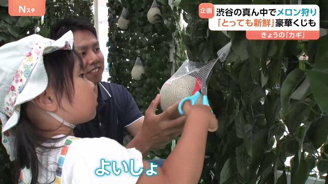 「ずっしり重くていい香り」東京・渋谷のど真ん中で“メロン狩り”『究極のメロンパン』やパフェなど“メロンづくしイベント”開催|TBS NEWS DIG