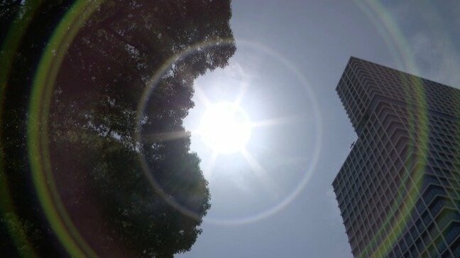 「もう外に出たくない…」名古屋と岐阜の予想最高気温は37℃  “真夏並みの暑さ”に  梅雨はどこへ？|TBS NEWS DIG