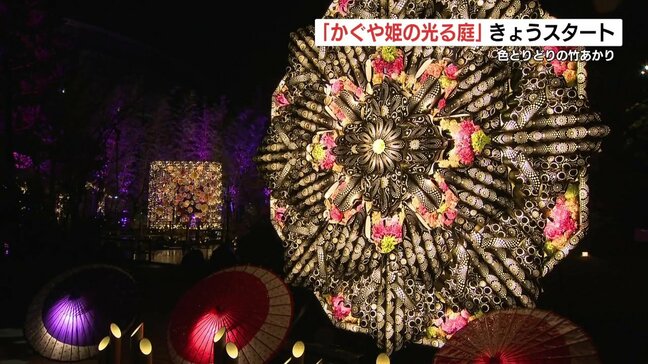 竹あかりが彩る「かぐや姫の光る庭」 サクラマチクマモトで5月末まで 熊本|TBS NEWS DIG