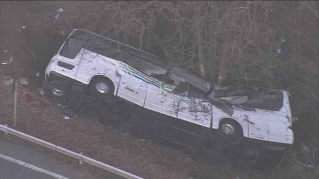 「悔しさ、悲しさは変わらない」遺族会代表の田原義則さんが次男の墓参り　好物だったイチゴなど供える　軽井沢町のスキーツアーバス事故から15日で10年　大学生など15人が死亡　26人が重軽傷|TBS NEWS DIG