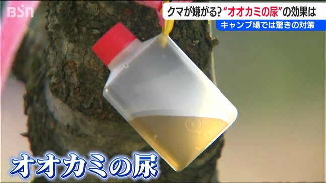 クマ対策にオオカミの尿？ キャンプ場にクマ寄せにくく…　河川敷では見通し良くするため草木の除去も　新潟県|TBS NEWS DIG