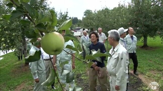「実り大きい収穫につながるよう」大雪・雨不足…影響が心配されたなか順調に生育するリンゴ　収穫本格化を前に弘前市・櫻田宏 市長が園地で生産者を激励　青森県|TBS NEWS DIG