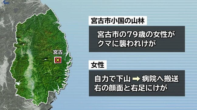 クマに襲われ79歳女性が右の顔と右足にけが 宮古市小国の山林 岩手|TBS NEWS DIG