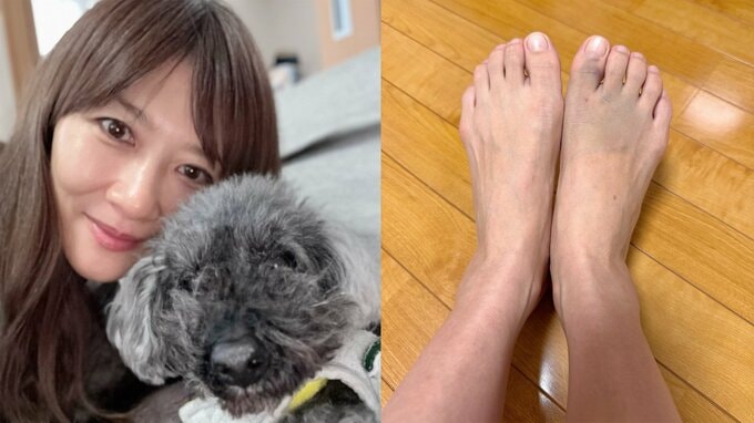 【 藤崎奈々子 】　お正月に「足を怪我」　実家で療養　15歳愛犬との再会と豪華手料理に感謝|TBS NEWS DIG