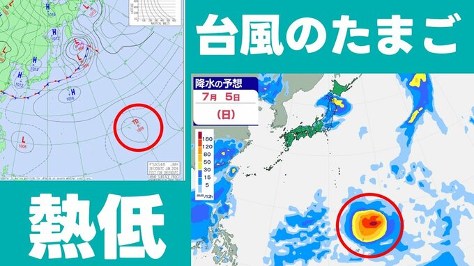 【台風のたまご】7号・8号のあと要注意！ 日本の南東海上に熱帯低気圧が発生へ　“台風のたまご”の様子が分かる雨風シミュレーション　来週以降の天気に影響か　気象庁|TBS NEWS DIG
