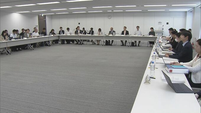 性犯罪歴確認する「日本版DBS」導入に向けたとりまとめ案　有識者検討会で示される　こども性暴力防止法　こども家庭庁|TBS NEWS DIG