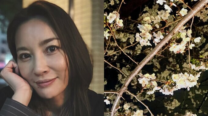 【瀬戸朝香】　「夜見る桜はなんか大人な感じ　夜のお出掛けもいいもんだ」　最新ショットを公開|TBS NEWS DIG