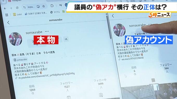 政治家のＳＮＳかたる"偽アカ"急増　プロフィールから誘導されたのは『カタール通貨で植物が販売されるサイト』　専門家「クレカ情報を抜き取るためではないか」|TBS NEWS DIG