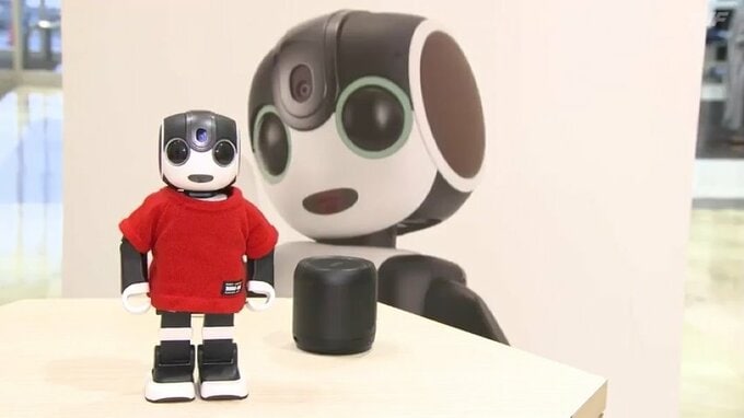 歌って踊る「ロボホン」赤ちゃんのような温もり「らぼっと」あなたにぴったりのロボットは？　|　福島のニュース│TUF