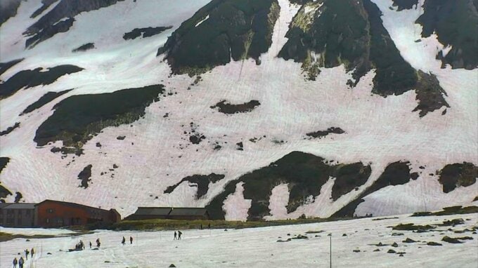 残雪が “血のように染まる” 広範囲で「赤雪」…極小の藻類が繁殖か　強い日光でより目立ったか…雪解け進む傾向も　富山　|　富山のニュース｜天気・防災｜チューリップテレビ
