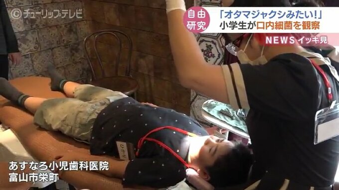 「菌がうじゃうじゃで…びっくりした」子どもたちが口内細菌を観察　小児歯科医院で夏休みの自由研究|TBS NEWS DIG