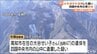 女性の遺体を山中に遺棄した疑い 男逮捕 殺人容疑も視野に捜査【愛媛・高知】　|　愛媛のニュース - Nスタえひめ｜あいテレビは6チャンネル