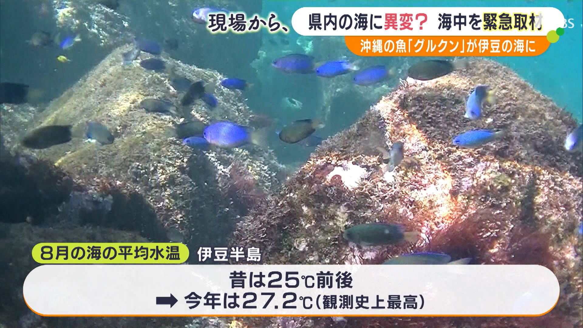 Ép`@9 YouTube>14{ ->摜>27 